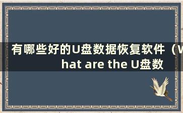 有哪些好的U盘数据恢复软件（What are the U盘数据恢复软件）